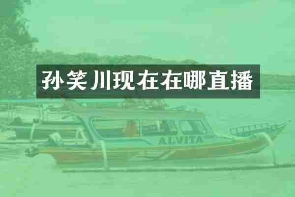 孙笑川现在在哪直播