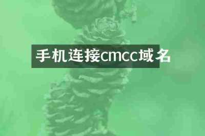 手机连接cmcc域名