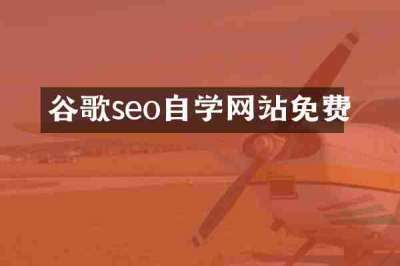 谷歌seo自学网站免费