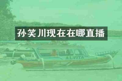 孙笑川现在在哪直播