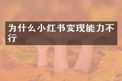 为什么小红书变现能力不行