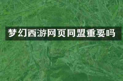 梦幻西游网页同盟重要吗
