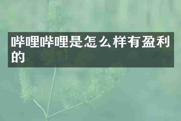 哔哩哔哩是怎么样有盈利的