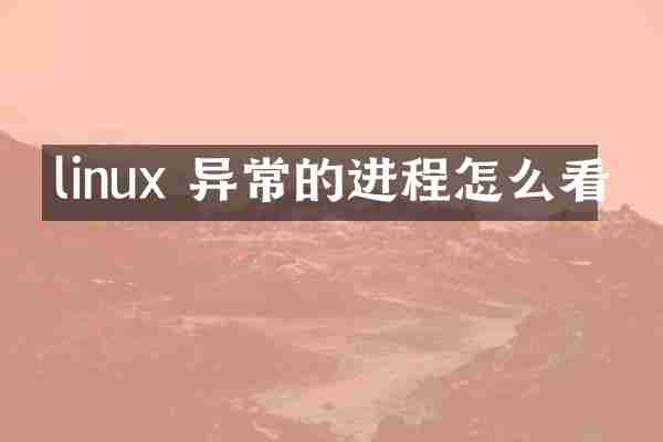 linux 异常的进程怎么看