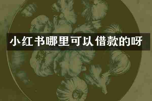 小红书哪里可以借款的呀