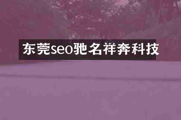 东莞seo驰名祥奔科技