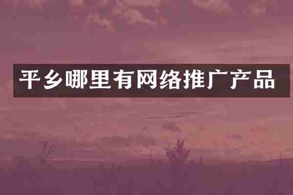 平乡哪里有网络推广产品