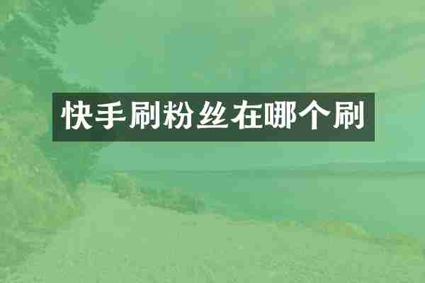 快手刷粉丝在哪个刷
