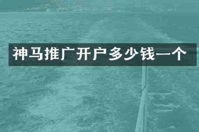 神马推广开户多少钱一个