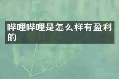 哔哩哔哩是怎么样有盈利的