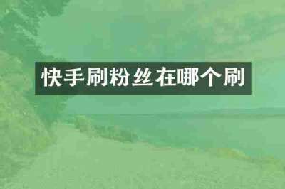 快手刷粉丝在哪个刷