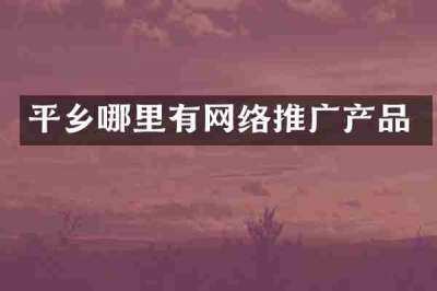 平乡哪里有网络推广产品