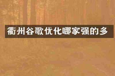 衢州谷歌优化哪家强的多