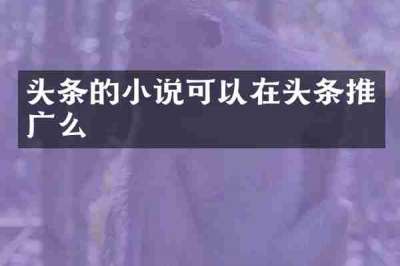 头条的小说可以在头条推广么