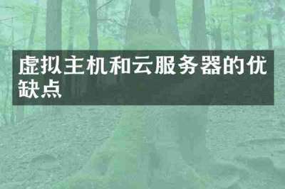虚拟主机和云服务器的优缺点