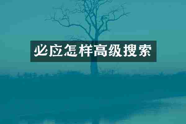 必应怎样高级搜索