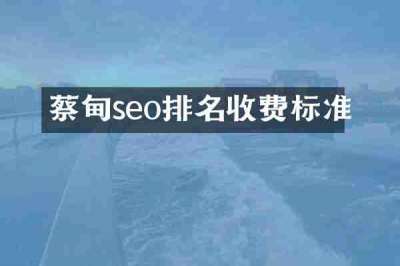 蔡甸seo排名收费标准