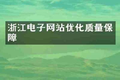 浙江电子网站优化质量保障