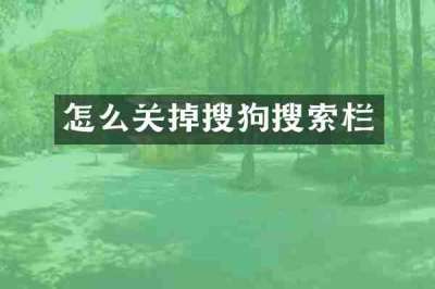怎么关掉搜狗搜索栏