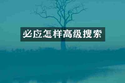 必应怎样高级搜索