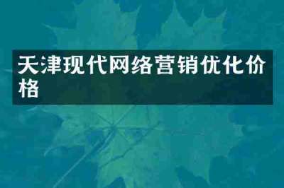 天津现代网络营销优化价格