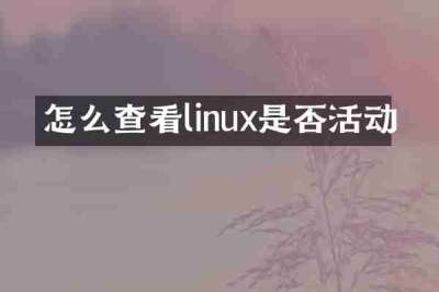怎么查看linux是否活动