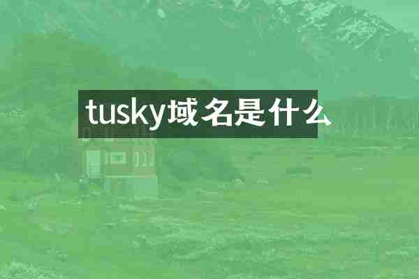 tusky域名是什么