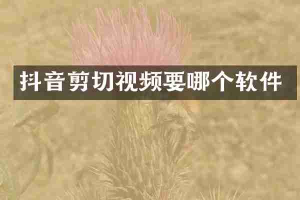 抖音剪切视频要哪个软件