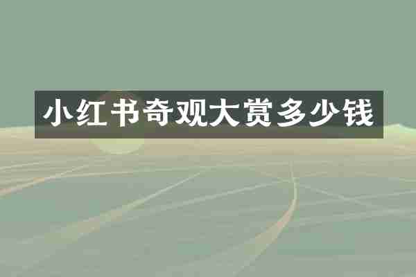 小红书奇观大赏多少钱