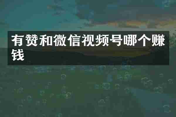 有赞和微信视频号哪个赚钱