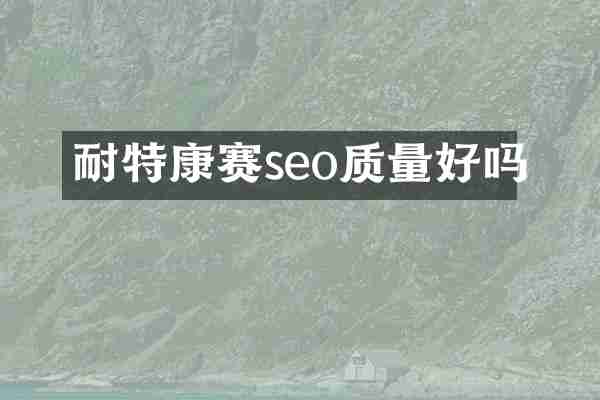 耐特康赛seo质量好吗