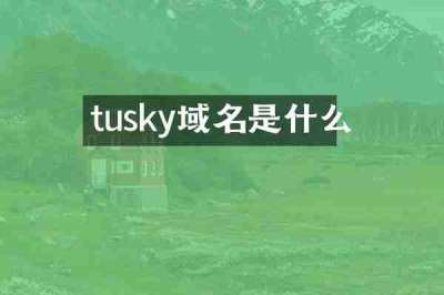 tusky域名是什么