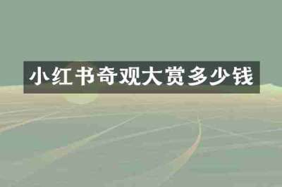 小红书奇观大赏多少钱