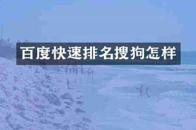 百度快速排名搜狗怎样