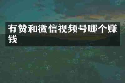有赞和微信视频号哪个赚钱