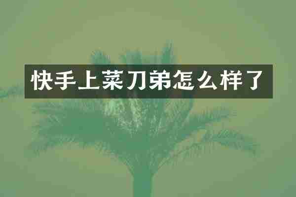 快手上菜刀弟怎么样了