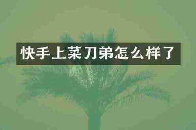 快手上菜刀弟怎么样了