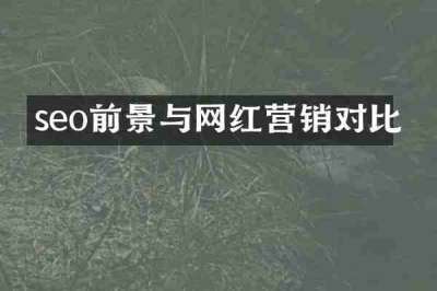 seo前景与网红营销对比