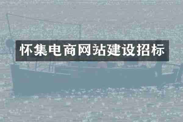 怀集电商网站建设招标