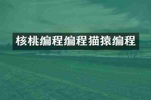 核桃编程编程猫猿编程