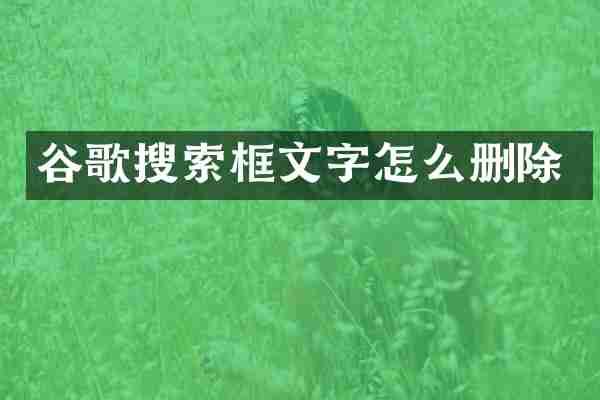 谷歌搜索框文字怎么删除