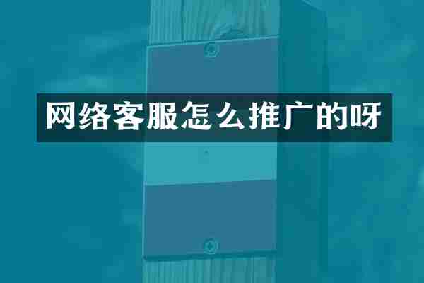 网络客服怎么推广的呀