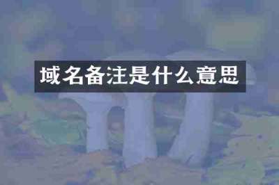 域名备注是什么意思