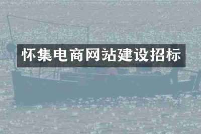 怀集电商网站建设招标