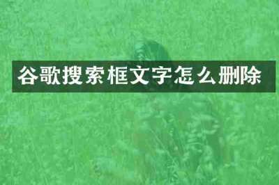 谷歌搜索框文字怎么删除