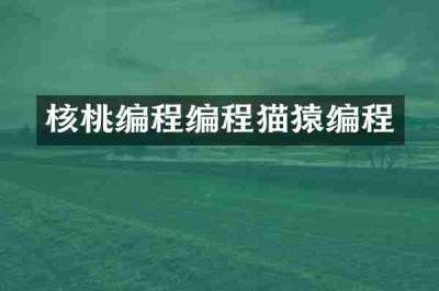 核桃编程编程猫猿编程