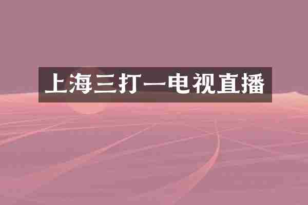 上海三打一电视直播