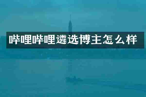 哔哩哔哩遴选博主怎么样