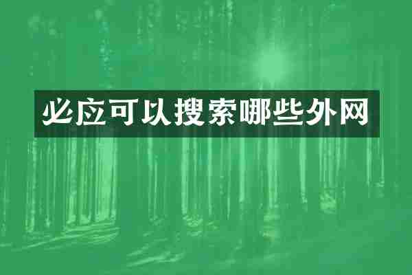 必应可以搜索哪些外网