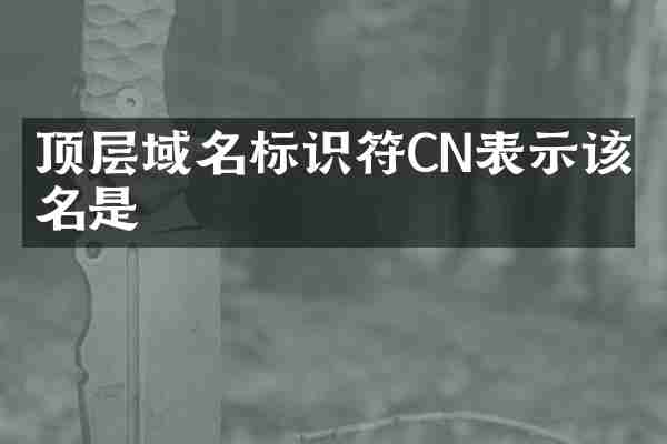 顶层域名标识符CN表示该域名是
